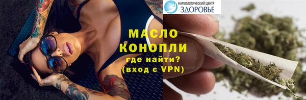 крисы Коряжма
