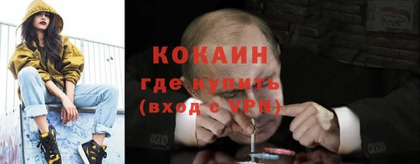 крисы Коряжма