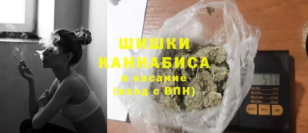 крисы Коряжма