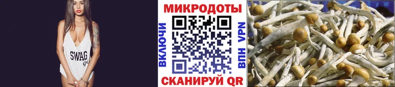 маркетплейс состав  цена наркотик  Королёв  Галлюциногенные грибы мухоморы 
